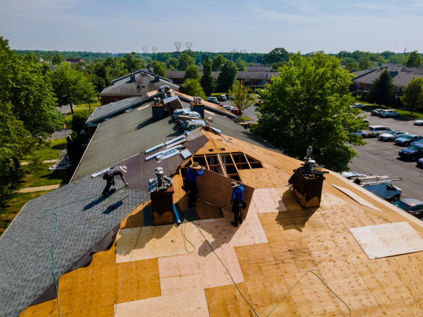 24/7 Emergency Flat Roof Repair experts in Holmes City, MN